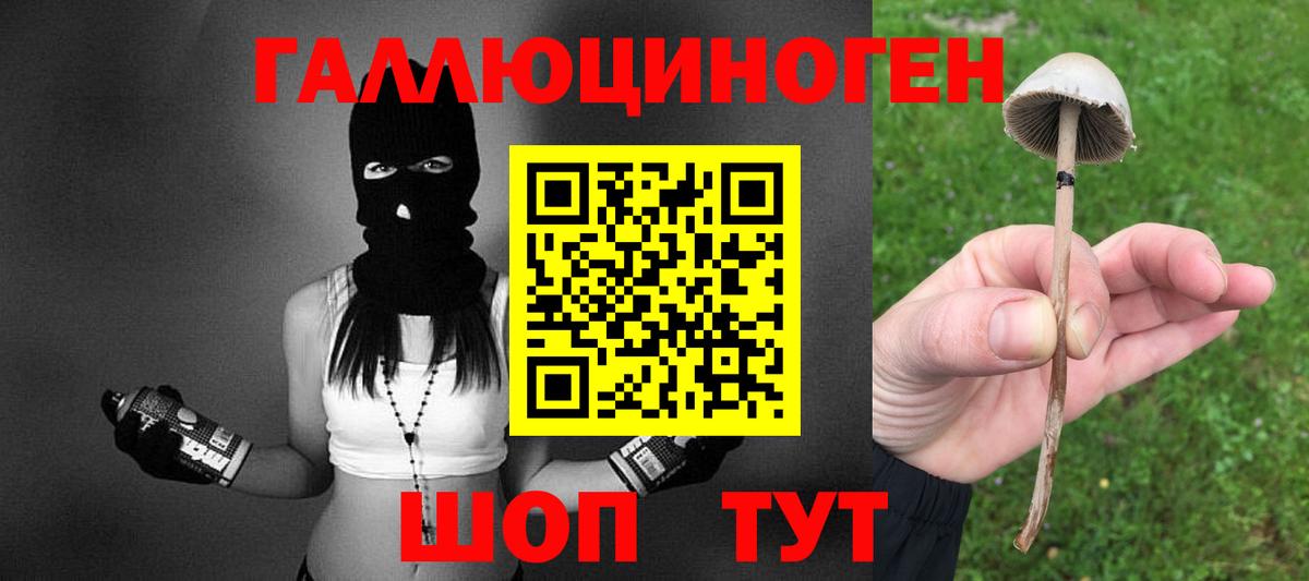 цены   Псилоцибиновые грибы ЛСД  Вход с VPN  Грязи  Галлюциногенные грибы ЛСД 